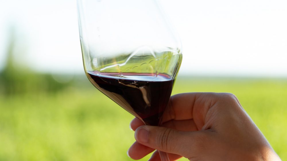 南アフリカワインのブドウ品種