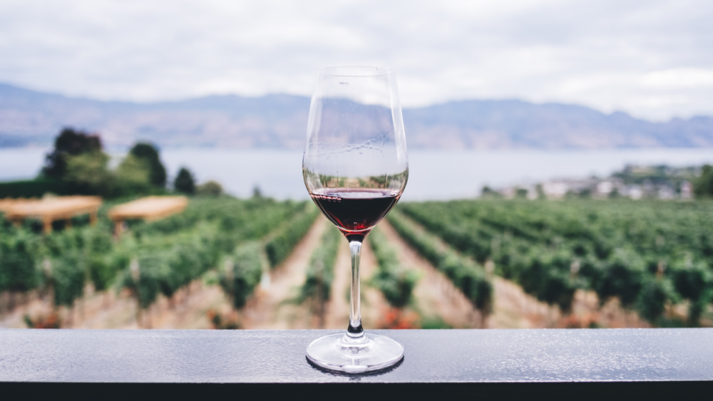 南アフリカワインの特徴
